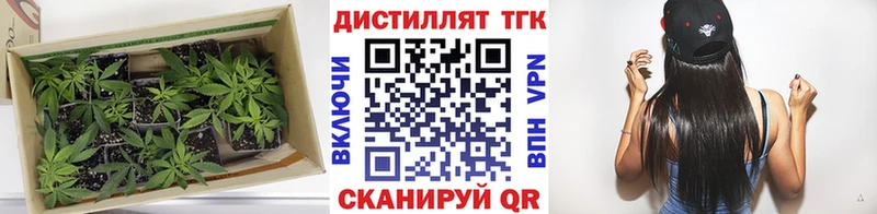 мориарти наркотические препараты  Сим  Дистиллят ТГК вейп с тгк  наркошоп  ОМГ ОМГ ONION 